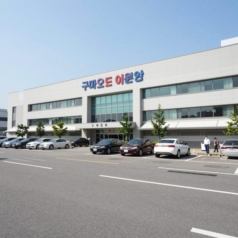 구마모토 이온몰 외관 전경, 넓은 주차장과 건물 모습