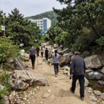 가지산 살인사건 전모와 사회적 교훈 가지산 살인사건 현장 사진, 등산로 주변 계곡, 수사 당시 모습