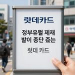 롯데카드 정보유출 영업정지 과징금 롯데카드 정보유출 제재 확정으로 신규 회원 카드 발급이 중단되는 내용을 설명하는 이미지