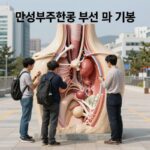 만성부신증후군 부신 위치와 기능 설명