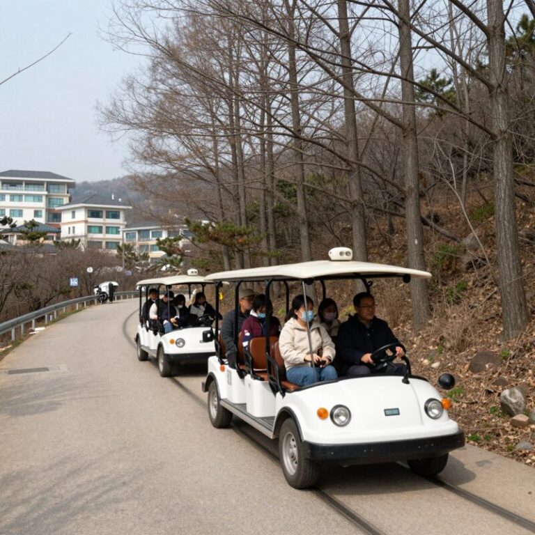 백두대간생태수목원 전나무 숲길 전기카트 투어