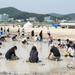 2026 보령머드축제 일정 라인업 팁 2026 보령머드축제 대천해수욕장 머드체험존에서 관광객들이 즐기는 모습