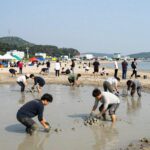 2026 보령머드축제 일정과 라인업 팁 2026 보령머드축제 대천해수욕장 머드 체험 현장