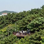 광양백운산자연휴양림 14번 데크에서 바라본 숲속 전경