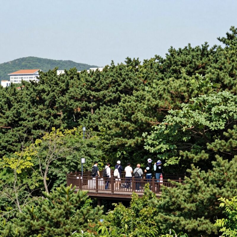 광양백운산자연휴양림 가성비 캠핑과 할인 꿀팁 1 광양백운산자연휴양림 14번 데크에서 바라본 숲속 전경