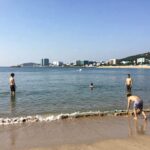 2026년 여름 용인 캐리비안베이 준비물과 할인 정보 용인 캐리비안베이 야외 파도풀 전경과 사람들이 물놀이를 즐기는 모습