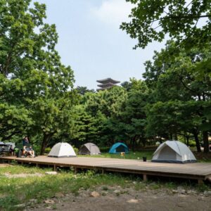 대운산 자연휴양림 데크 캠핑장 전경으로, 울창한 숲 사이로 데크가 배치된 모습