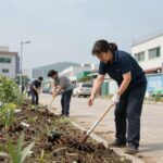 돈벌레퇴치 습기와 먹이 차단이 핵심 돈벌레 퇴치를 위한 습기 관리와 유입 경로 차단 전략