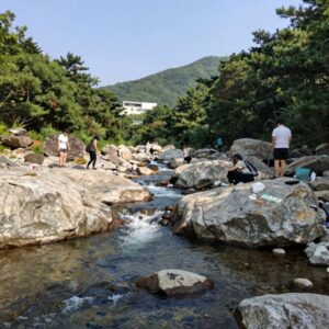 월악산 닷돈재 야영장 계곡의 맑은 물과 바위 풍경