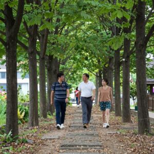 국립청태산자연휴양림 데크로드에서 잣나무 숲 사이로 걷는 모습