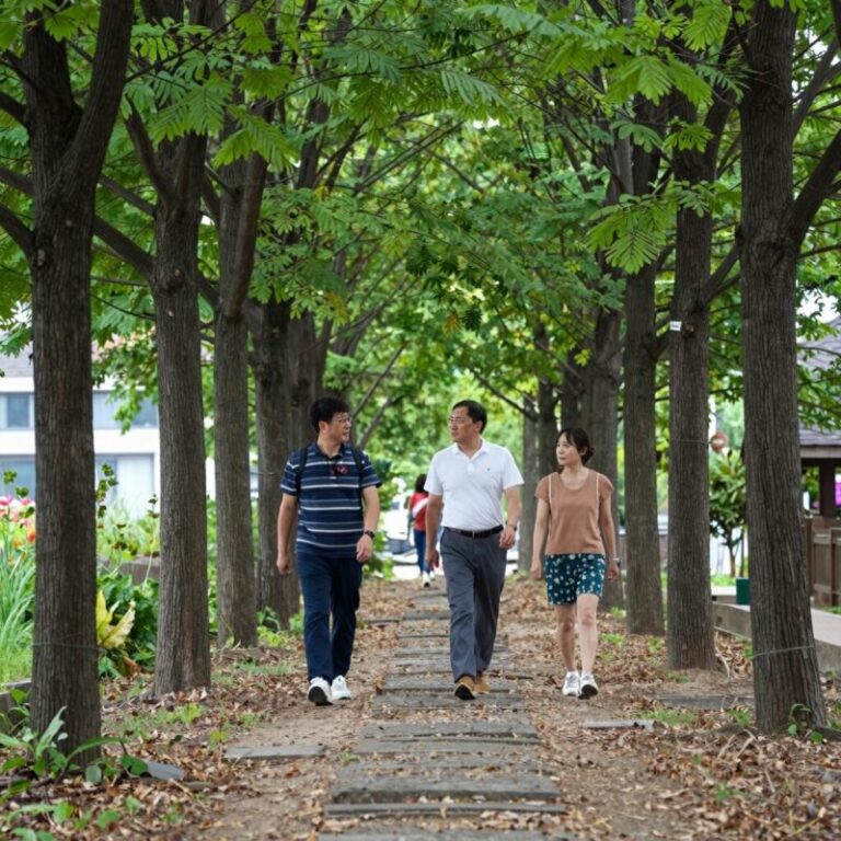 국립청태산자연휴양림 데크로드에서 잣나무 숲 사이로 걷는 모습
