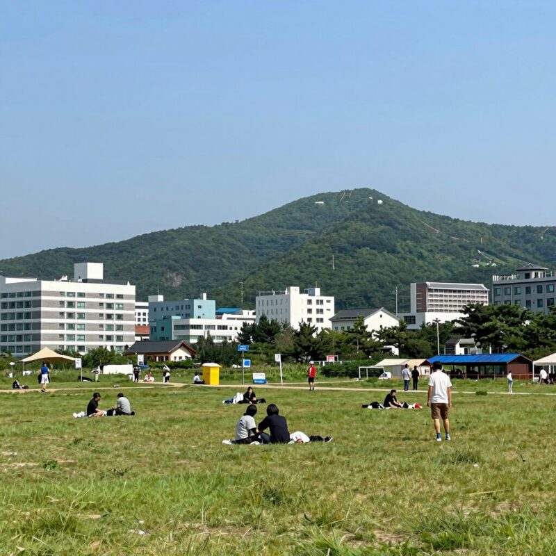 가평 빠지펜션 클럽비발디 수상레저 전경