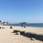 도깨비 10주년 영진해변 당일치기 여행 강릉 주문진 영진해변 도깨비 방파제 전경 파란 하늘과 동해 바다가 펼쳐진 촬영지 포토존