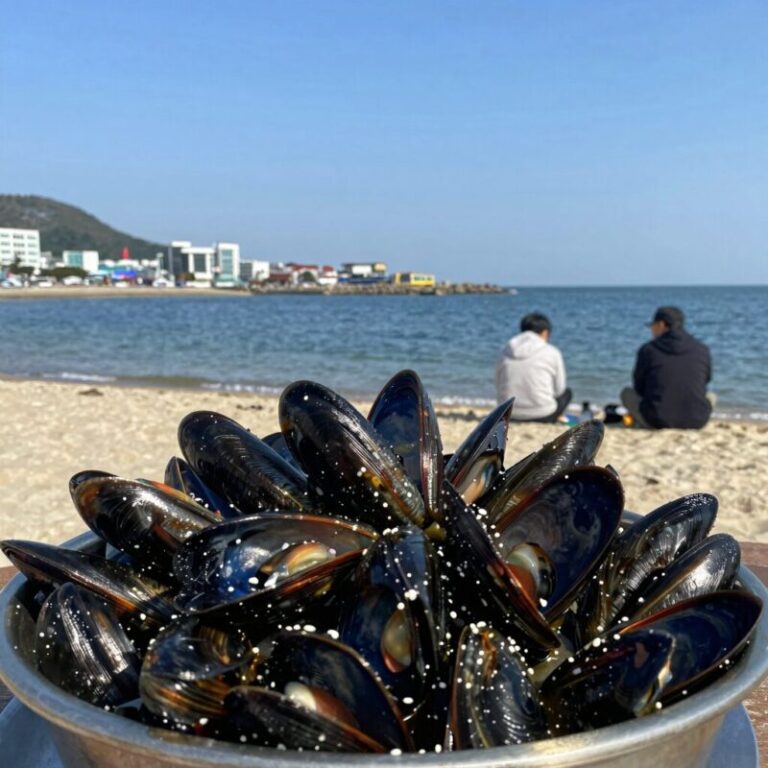 광주물회맛집 해안선의 푸짐한 모듬해물 물회 사진
