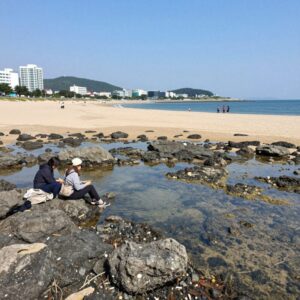 경주월드 캘리포니아비치 웨이브캐년 파도 유수풀 전경