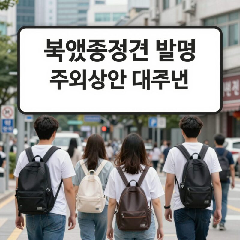 폭염중대경보 뜻과 대비 방법 1 폭염중대경보 발령 시 주의사항과 대처 방법 안내 이미지