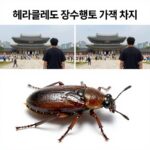 장수풍뎅이 가격 비교와 구매처 헤라클레스 장수풍뎅이 가격 비교를 위한 실제 크기 차이