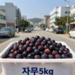 자두5kg 대용량 박스에 담긴 신선한 의성 자두