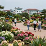 7월가볼만한곳 추천 4곳 제주도 경주 경기도 7월 제주도 가볼만한곳 마노르블랑 수국 정원