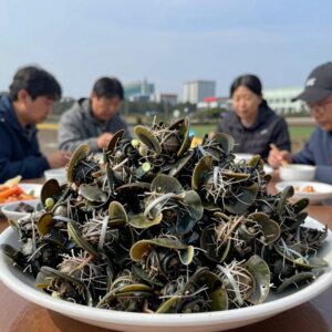 제주 소랑호게에서 제공하는 게찜과 소라 요리가 담긴 식탁, 신선한 해산물의 풍성함을 보여주는 사진