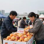 조치원 복숭아 축제에서 판매 중인 복숭아 박스와 가격표