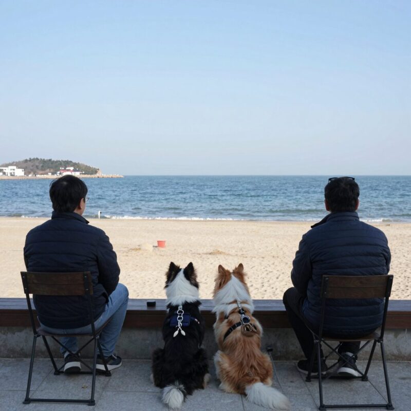 반려견과 남해 여행 강력 추천 펜션 1 남해 바다 전망이 보이는 애견동반 펜션의 테라스 풍경
