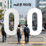 null 뜻 완벽 정리 데이터 관리 필수 null 뜻 차이점 0 빈칸 비교 그래픽