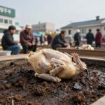 복날 보양식 삼계탕과 닭한마리 레시피 누룽지삼계탕 완성 사진, 바닥에 노릇한 누룽지가 보이고 닭과 육수가 담겨 있음