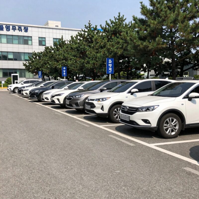공영주차장 5부제 해제로 차량들이 자유롭게 주차하는 모습