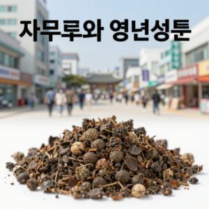 자두의 효능과 영양성분을 설명하는 사진