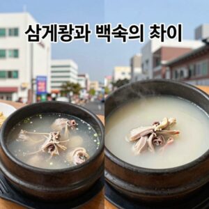 삼계탕과 백숙의 차이를 설명하는 사진, 왼쪽은 냄비에 담긴 삼계탕, 오른쪽은 뽀얀 국물의 닭백숙