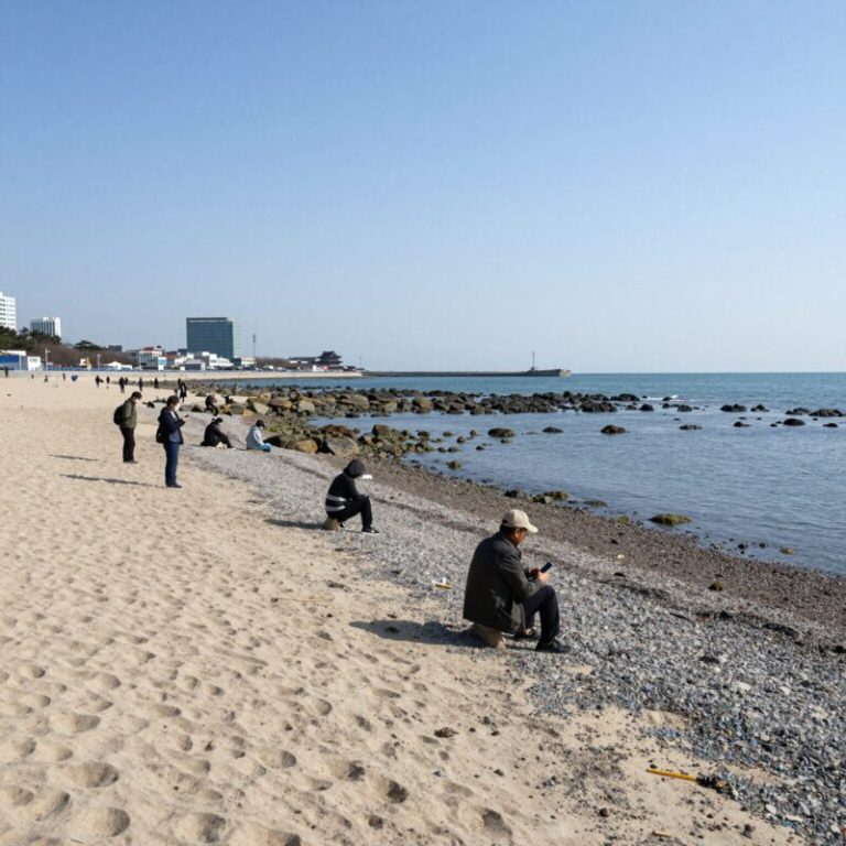 삽시도 면삽지 썰물 때 드러난 모래사장과 주변 해안