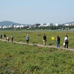 서산갯벌 유네스코 세계자연유산 확대 등재 지역 전경