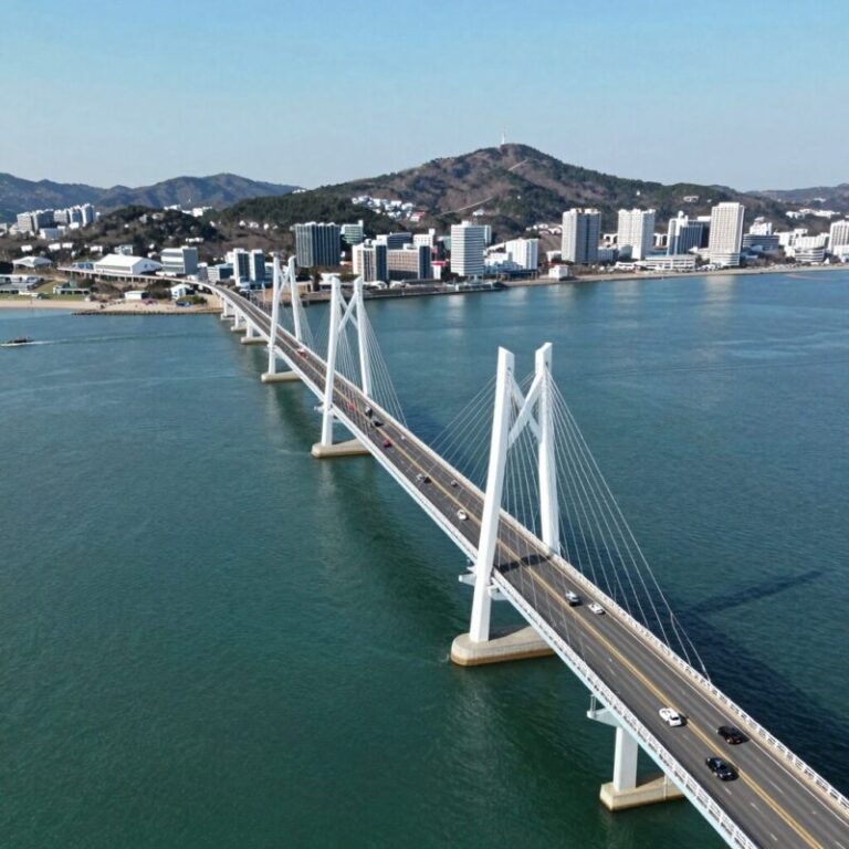 신도평화대교 항공 전경으로 영종도와 신도를 연결하는 다리가 서해바다 위에 놓여 있다