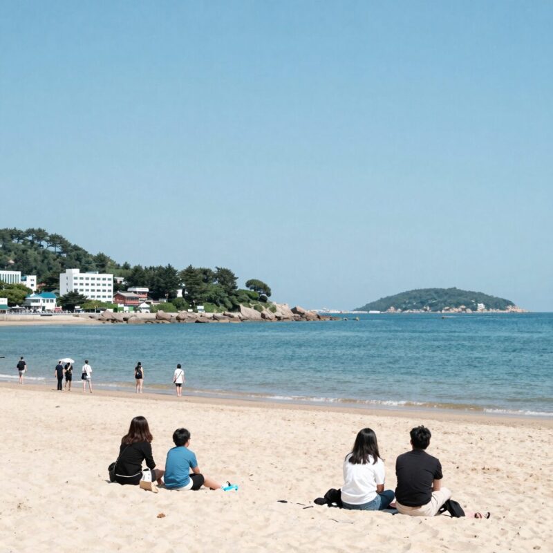 올여름휴가 3가지 알차게 보내는 계획 1 여름 휴가 섬 여행 계획 배경 이미지