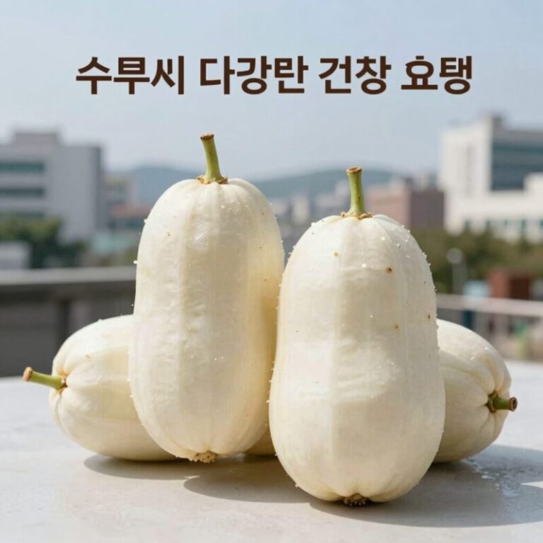 수박씨의 다양한 건강 효능을 설명하는 이미지