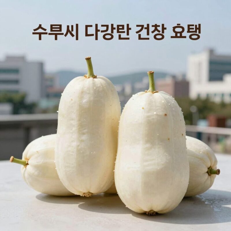 수박씨의 다양한 건강 효능을 설명하는 이미지