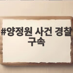 양정원 사건 경찰 구속