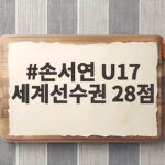 손서연 U17 세계선수권 28점