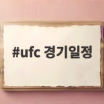 UFC 8월 경기 일정 및 중계 정보 ufc 경기일정