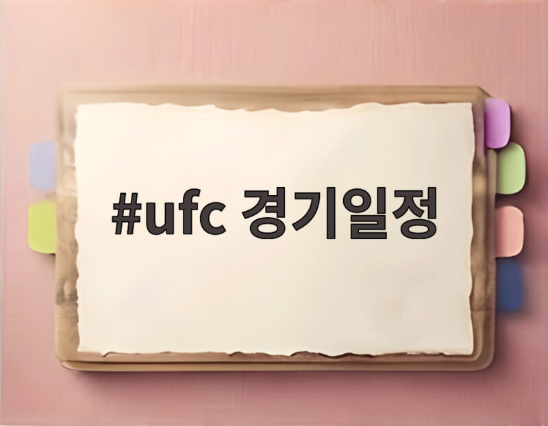 UFC 8월 경기 일정 및 중계 정보 1 ufc 경기일정