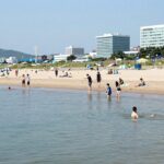 을왕리 해수욕장 폭염 2만 명 발길 을왕리 해수욕장에서 물놀이를 즐기는 피서객들