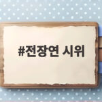 전장연 시위 8월 지하철 탑승 일정과 출근 혼잡 전장연 시위