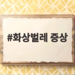 여름철 화상벌레 증상 닿기만 해도 통증 주의 화상벌레 증상