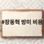 장동혁 방미 비용 2억원 사실은 장동혁 방미 비용