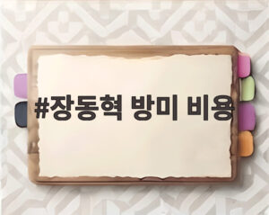 장동혁 방미 비용