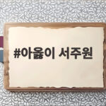 아옳이 서주원 이혼 후 한의사와 공개 연애 아옳이 서주원