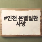 인천 온열질환 사망 급증 예방과 대처 방법 인천 온열질환 사망