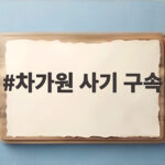 차가원 사기 구속