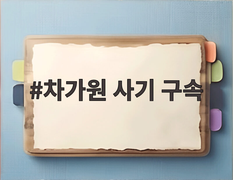 차가원 300억대 사기 구속 발부 1 차가원 사기 구속
